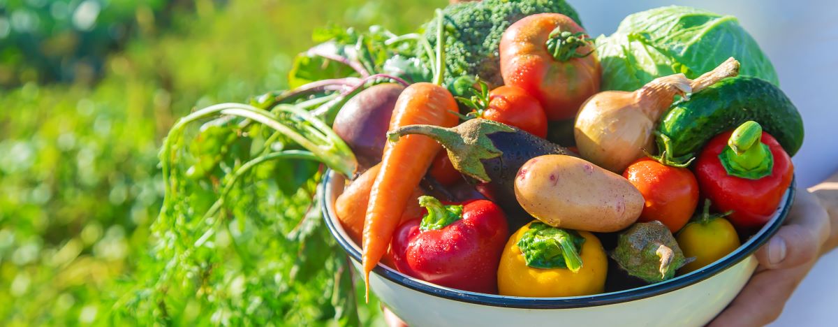 Saisonkalender: Obst & Gemüse im Jahreslauf