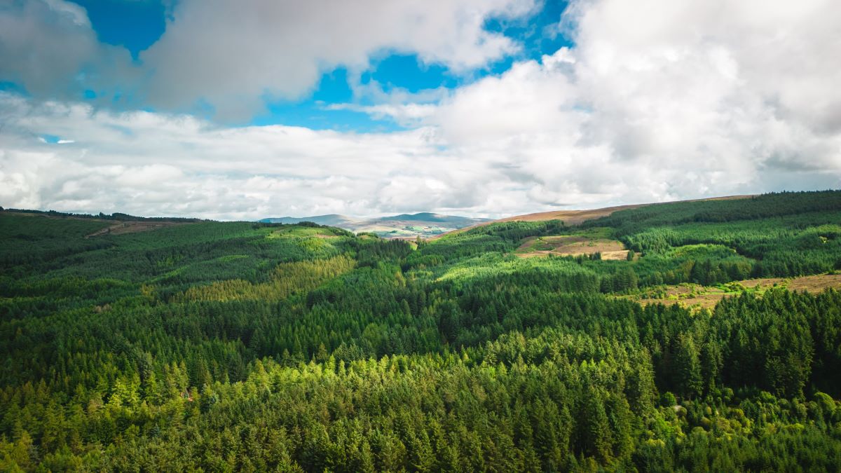Natur entdecken vor deiner Haustür – Praktischer Leitfaden